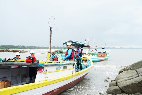 Cara PT Timah Lestarikan Ekosistem Laut dengan Artificial Reef